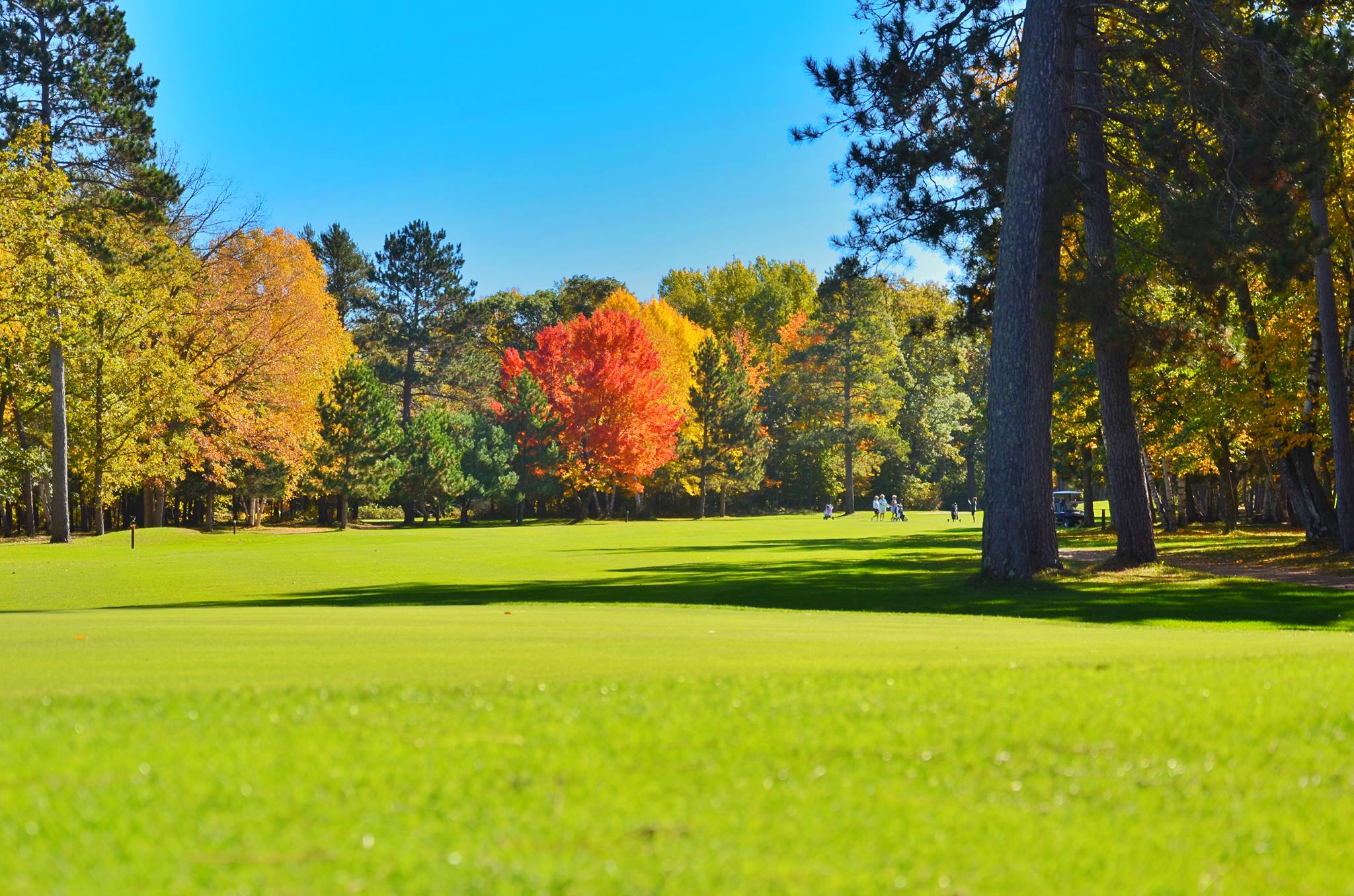 Whitefish Golf Club Pequot Lakes MN A Minnesota Must Play Whitefish Golf Club Pequot Lakes MN A Minnesota Must Play